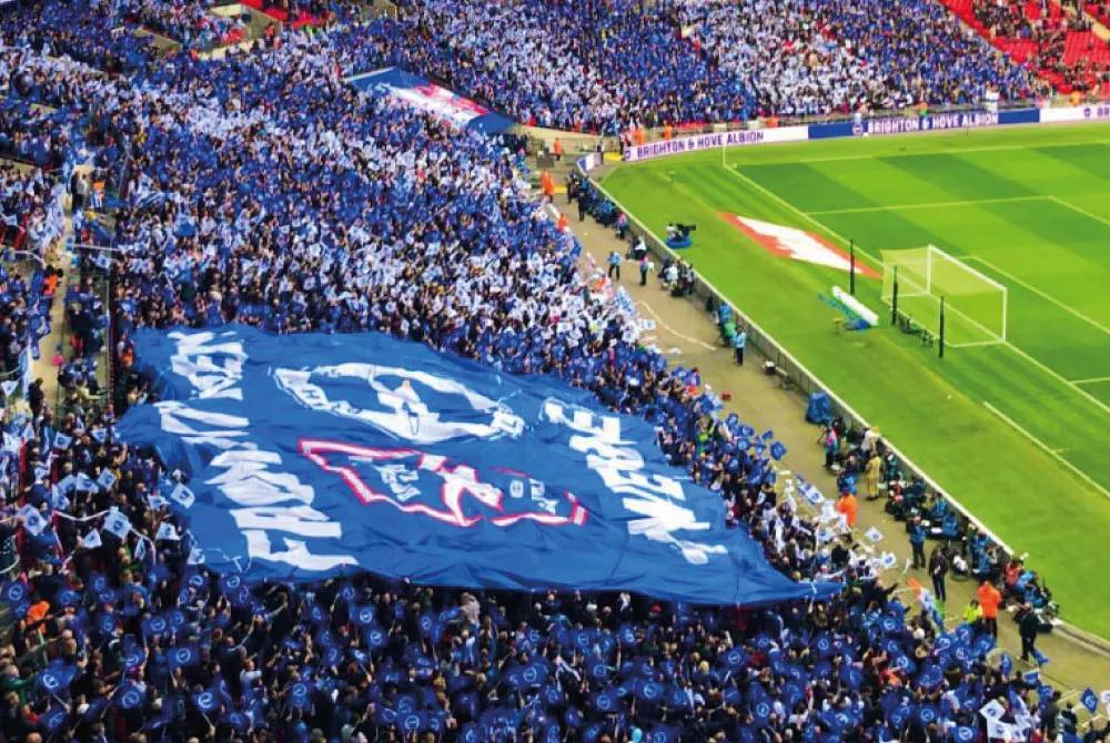 Stadium Crowd Flags